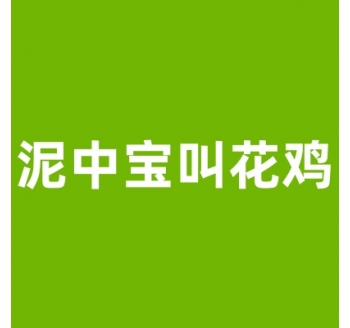 泥中宝叫花鸡